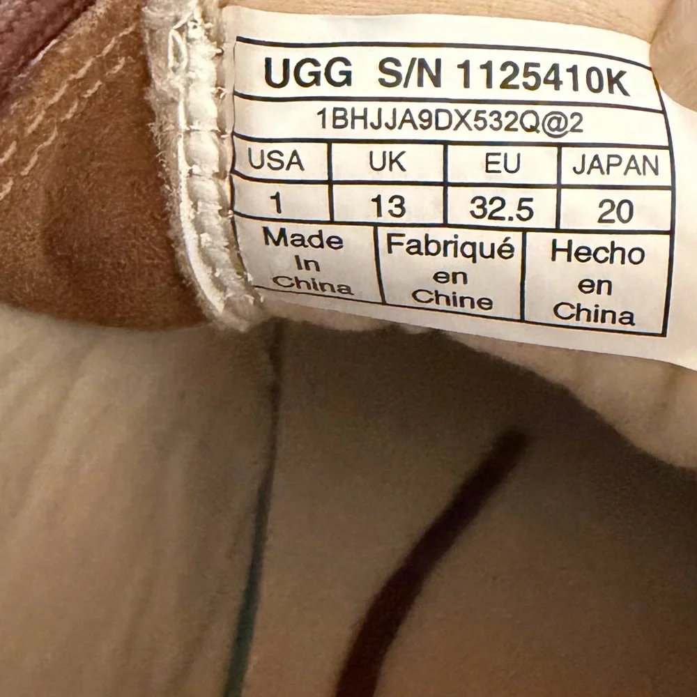 UGG Kids Canoe III Weather Boots | Chestnut Suede | Little Boy Sz 1 | Waterproof